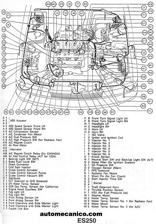 2001 Lexus Es300 Engine Diagram. 1999 lexus es300 engine diagram
